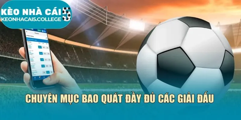 Chuyên mục bao quát đầy đủ các giải đấu
