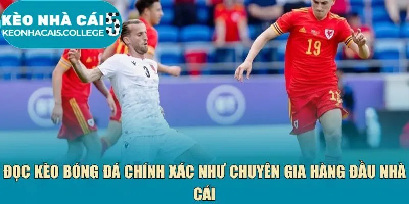 Đọc kèo bóng đá