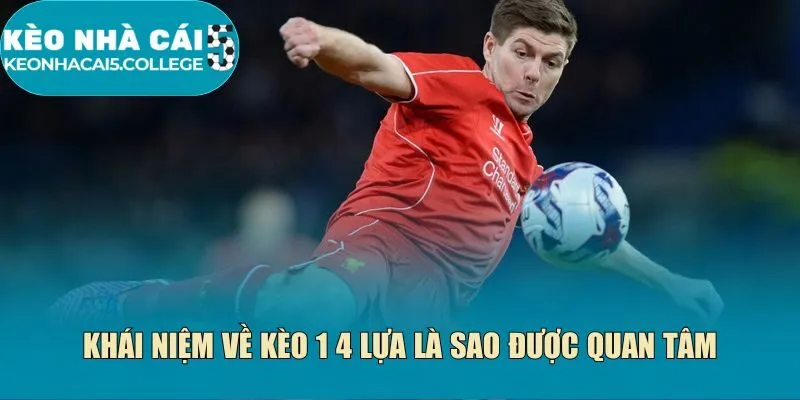 Khái niệm về kèo 1 4 lựa là sao được quan tâm