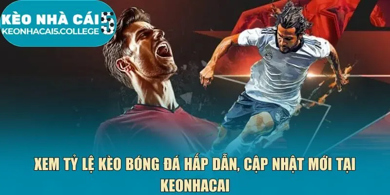 Xem tỷ lệ kèo bóng đá